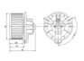 BWCH CTS 03-07 CADILLAC       
