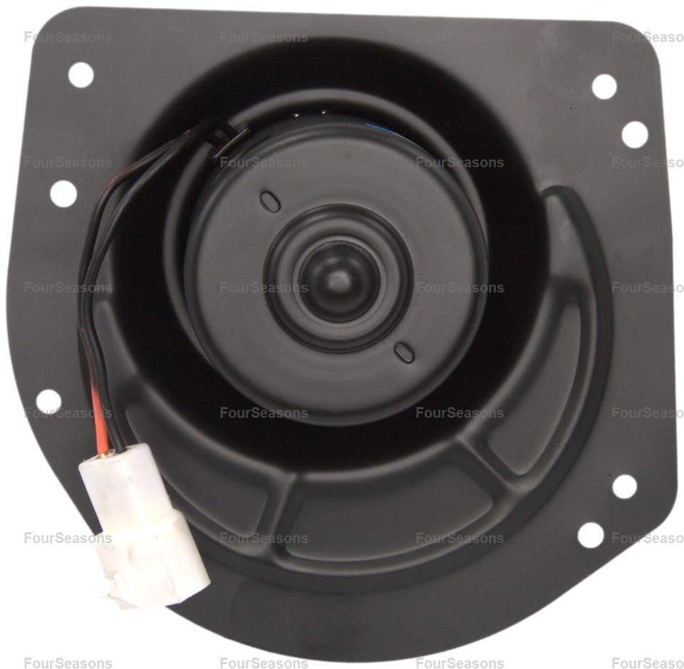 BWFO C VICT. 80-99 F 80-86    