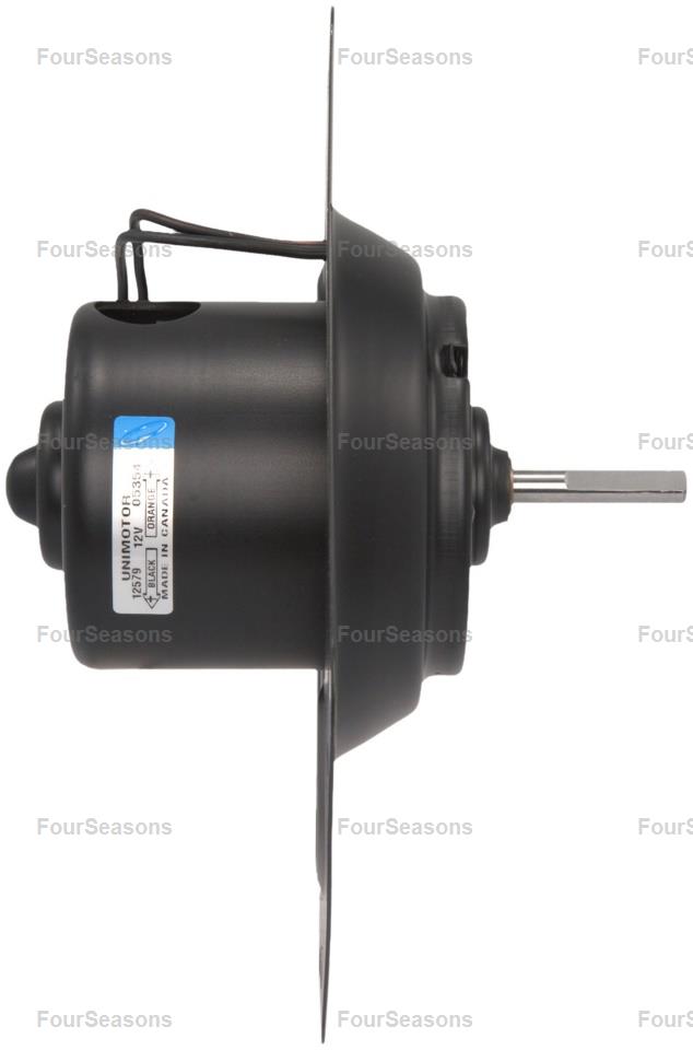 BWFO C VICT. 80-99 F 80-86    