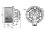 BWFO EXPLORER 12-15           