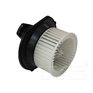 BWFO FOCUS 08-10 FD           
