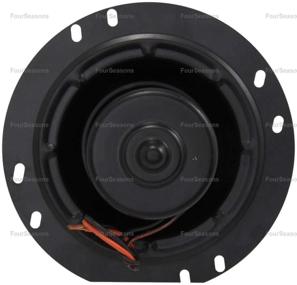 BWFO MUSTANT 87-90 5.0LT      
