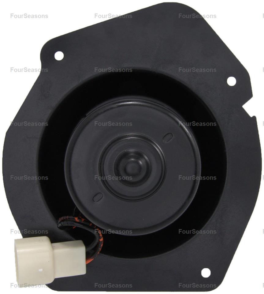 BWFO TAURUS/SABLE 86-95 =MM819