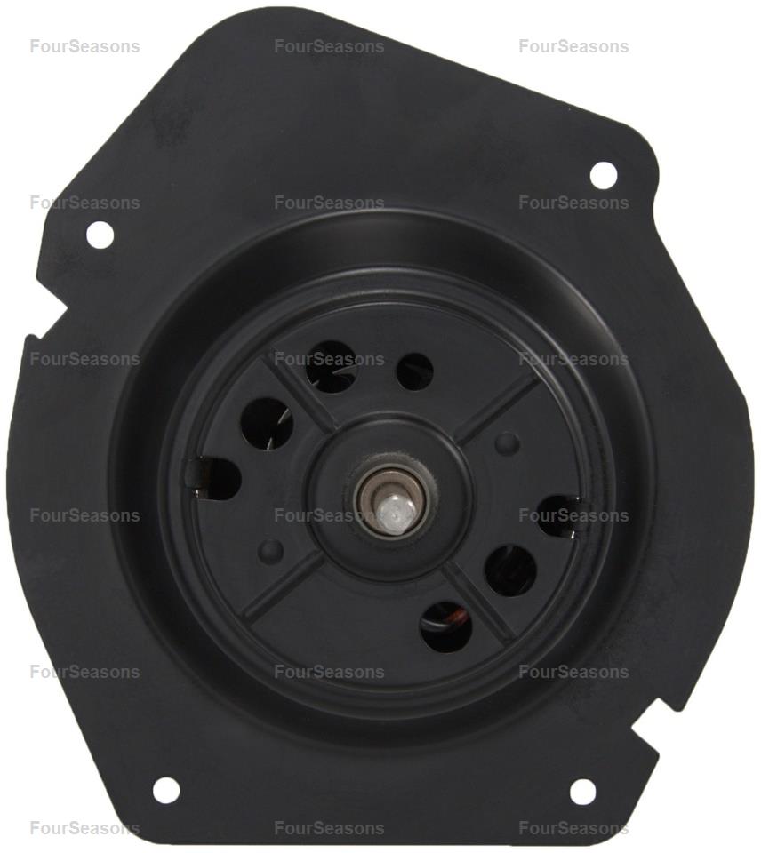 BWFO TAURUS/SABLE 86-95 =MM819