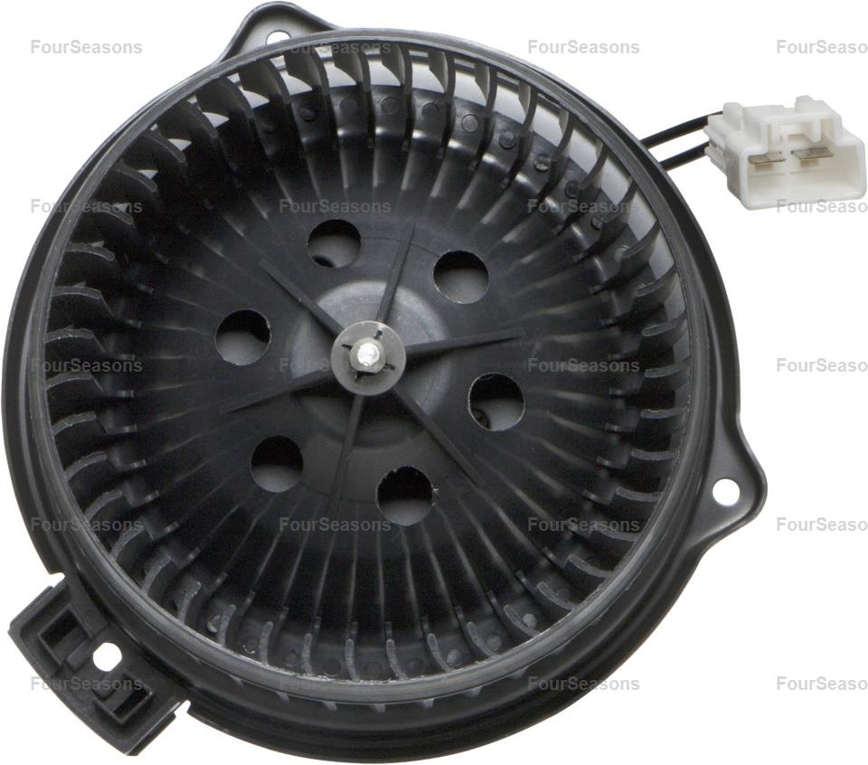 BWHO ACCORD 94-02* OEM CONNECT