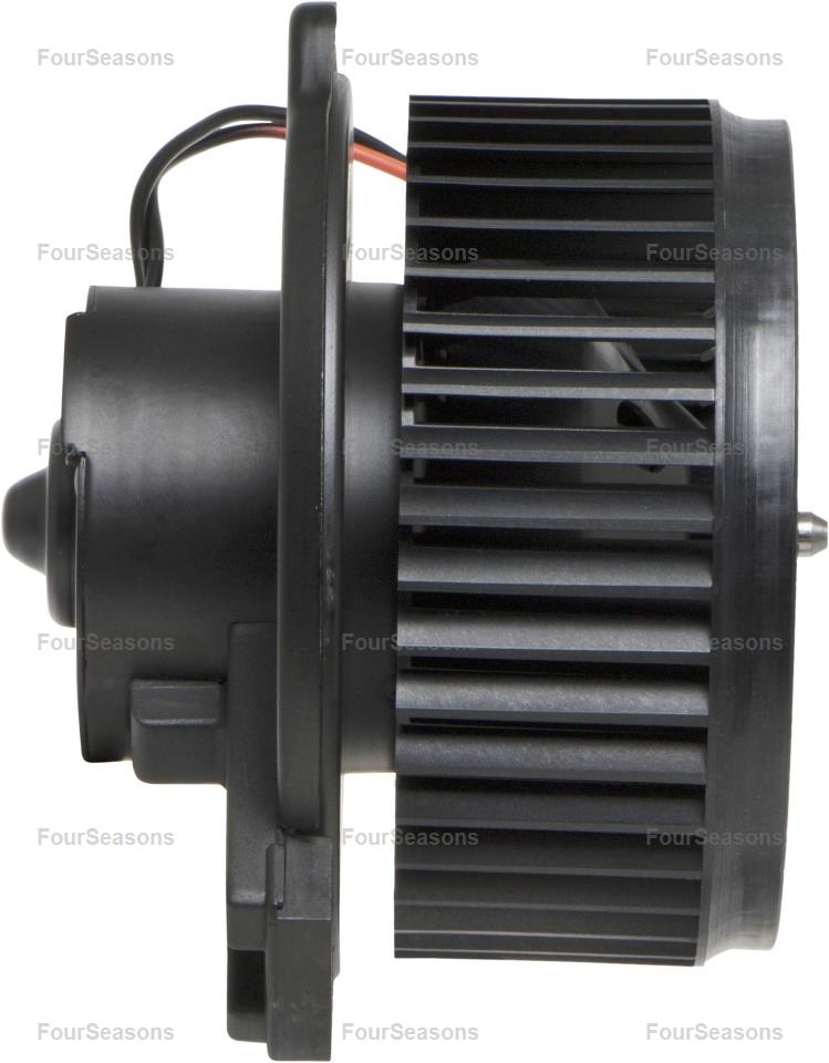BWHO ACCORD 94-02* OEM CONNECT