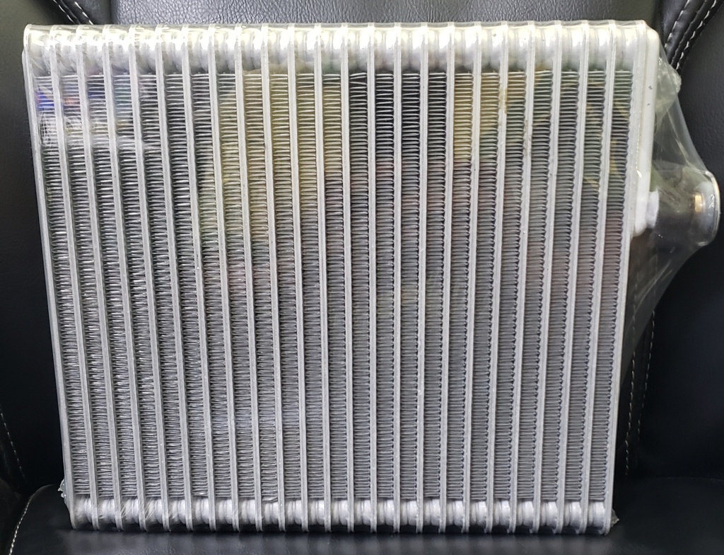 EVCR DGE P/UP 09-11 RAM =     