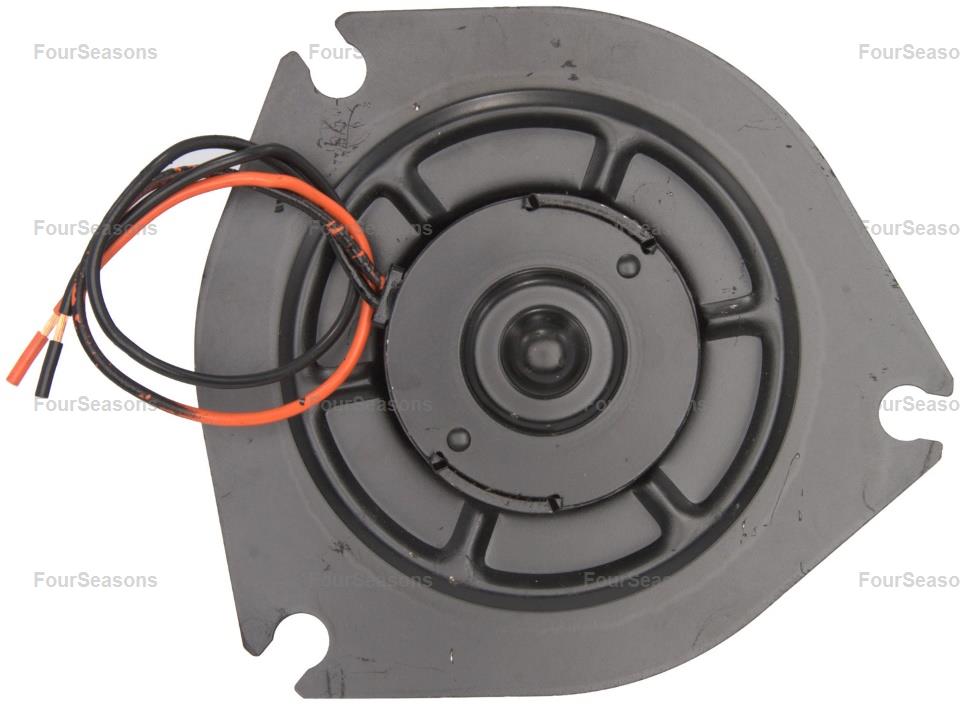 BWNI SENTRA 82-85 =PM-3721    