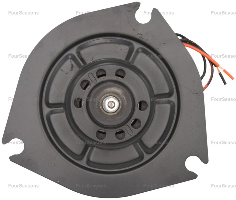BWNI SENTRA 82-85 =PM-3721    