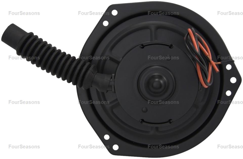 BWNI SENTRA 95-99/200ZX 96-96 