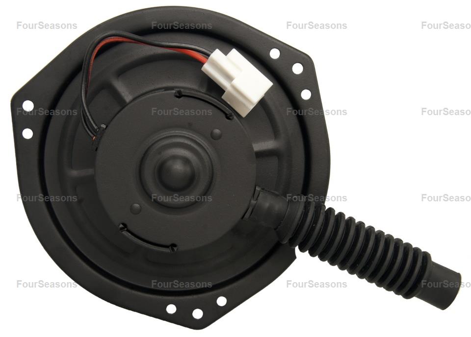 BWNI XTERRA 00-04 =           