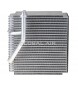 EVNI MAXIMA 00-01 I30 00-01   