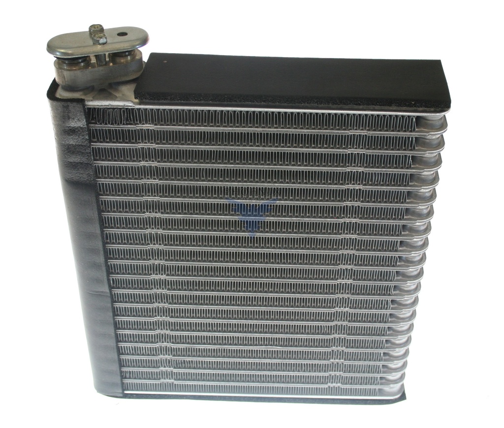 EVCR RAM1500 07-09= EV-939713PFXC