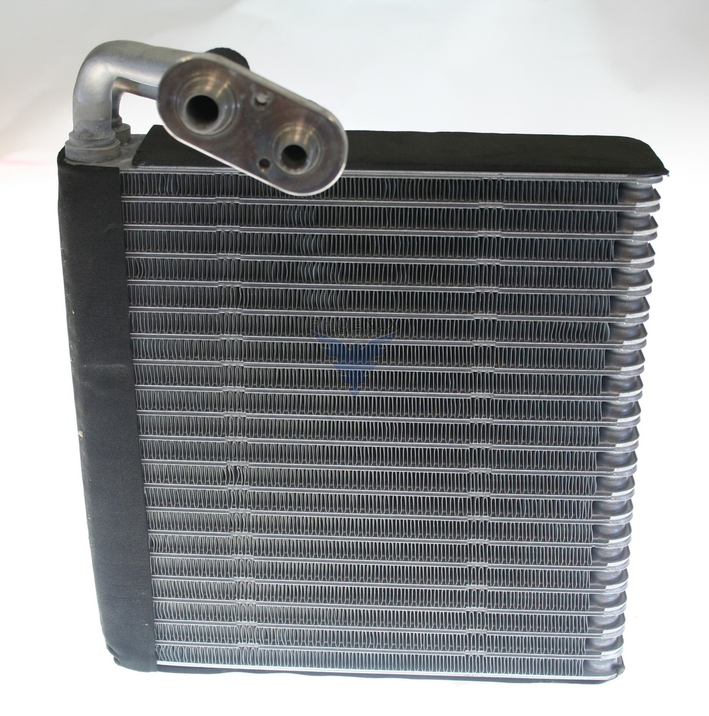 EVCH CAPTIVA 07-08= EV-939859PFXC