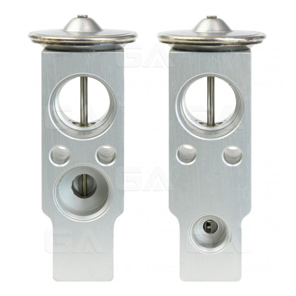 EXAC MDX 01-06= EX-10081C