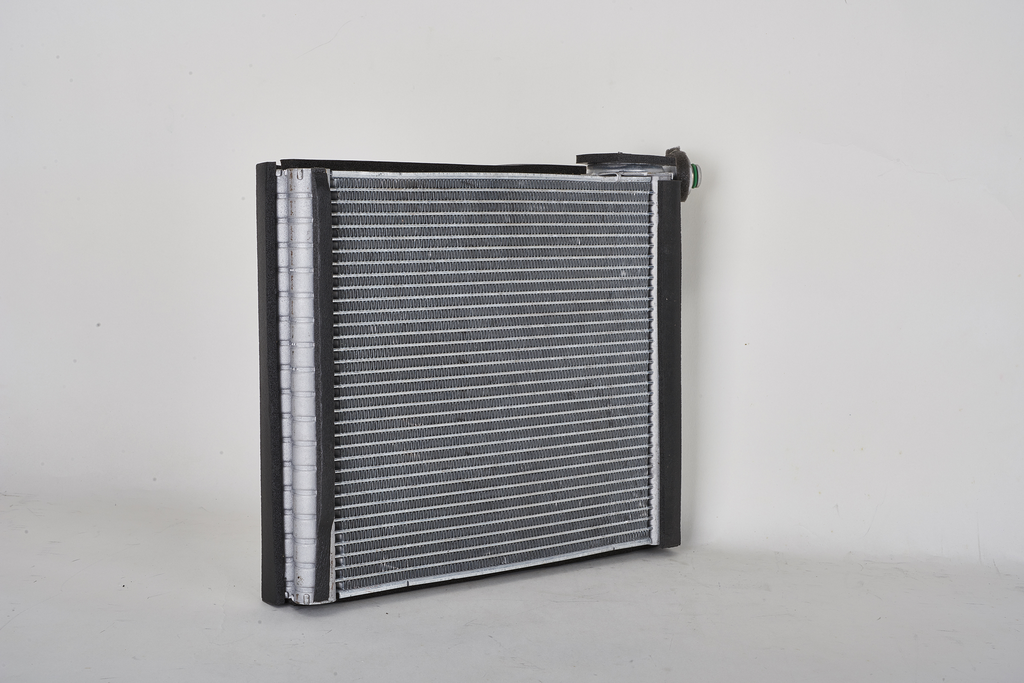 EVTO RAV4 06-17= EV-939769PFC