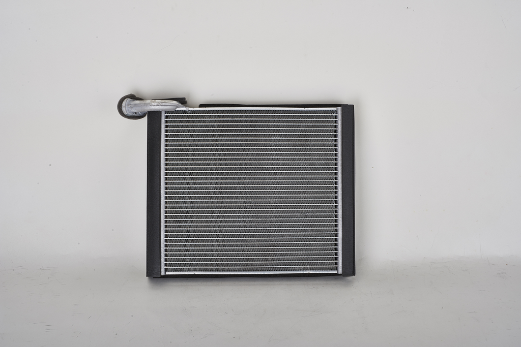 EVTO RAV4 06-17= EV-939769PFC