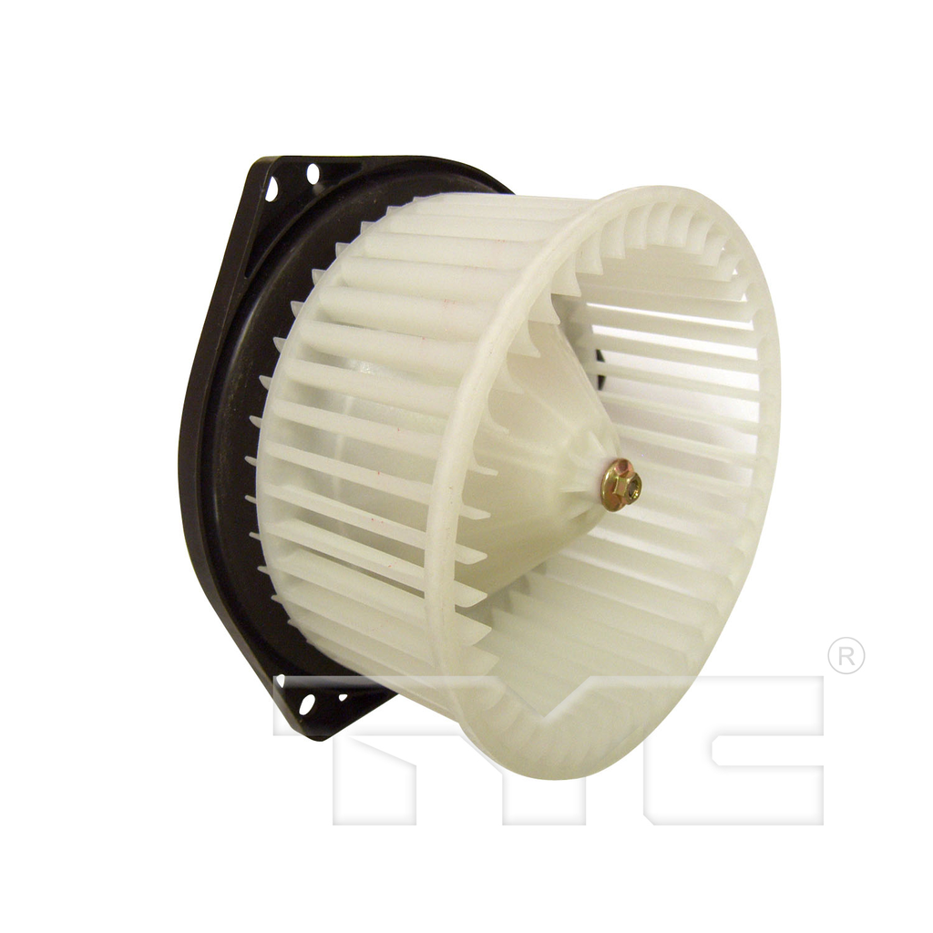 BWNI MAXIMA 00-03 =75024