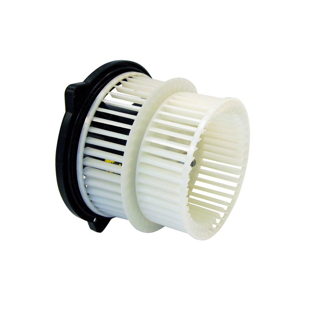 BWTO ECHO 03-05 W/COLDCLIMATE