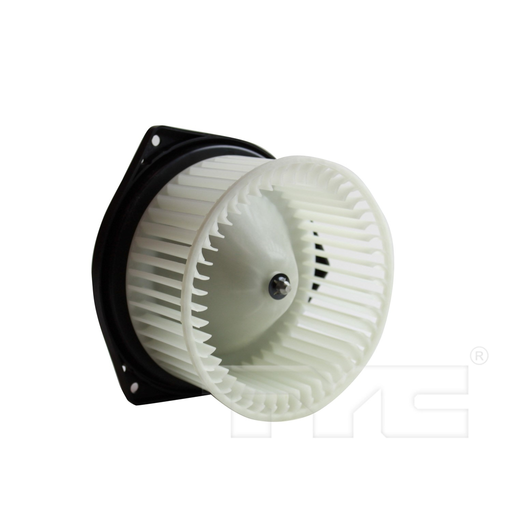 BWSB FORESTER 00-13 =75881