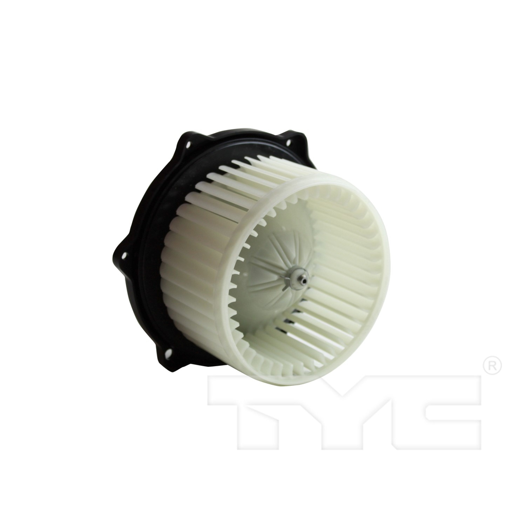 BWSU FORENZA 04-08 =BM-5706