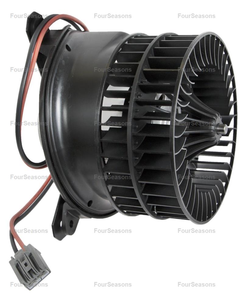 BWCA INT 08-11 * BEHR 4300