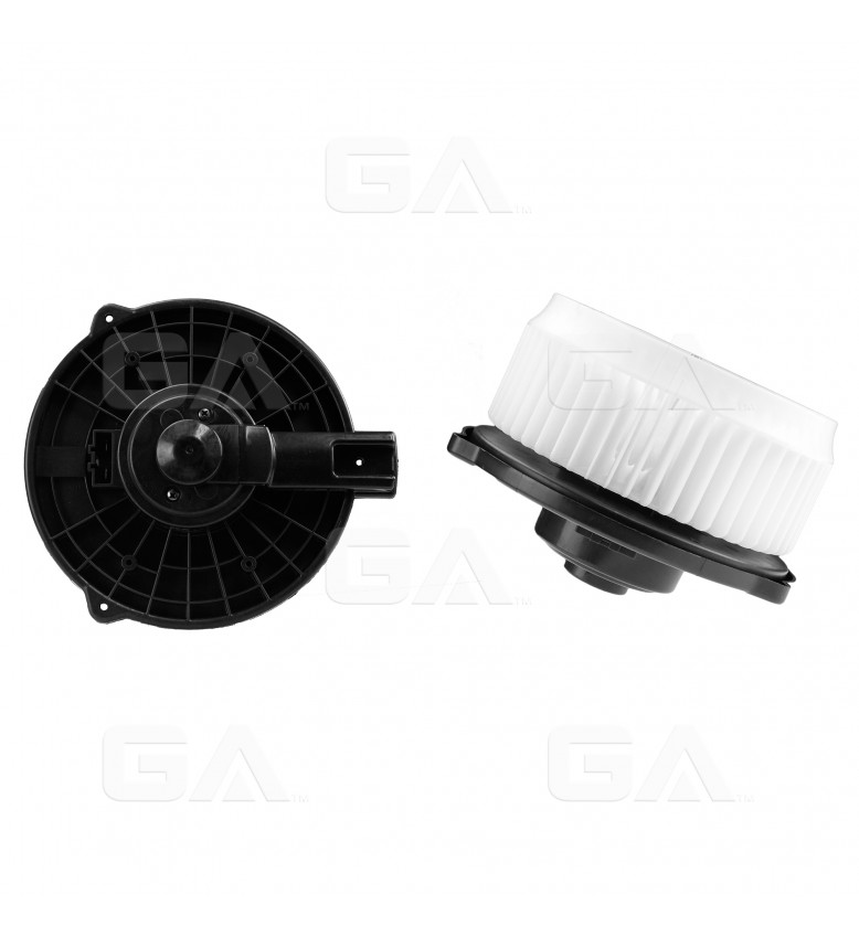 BWTO HIGHLANDER 01-06(3484)