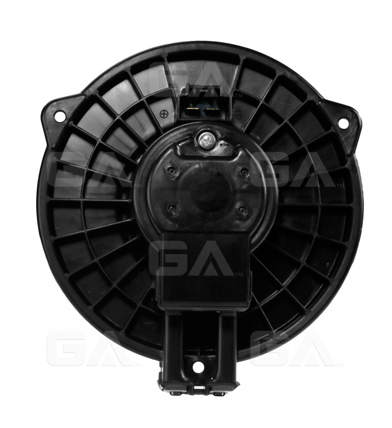 BWSB FORESTER 14-18 (8532)