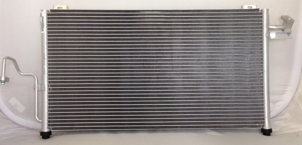 CNMA PROTEGE 02-03 SDN        