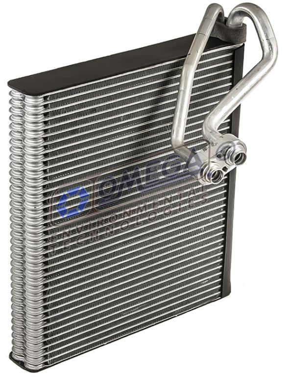 EVKI FORTE 11-13 HB/CPE