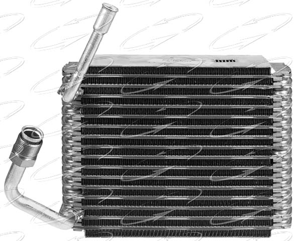 EVFO F 99-02 F250/350/450/SD