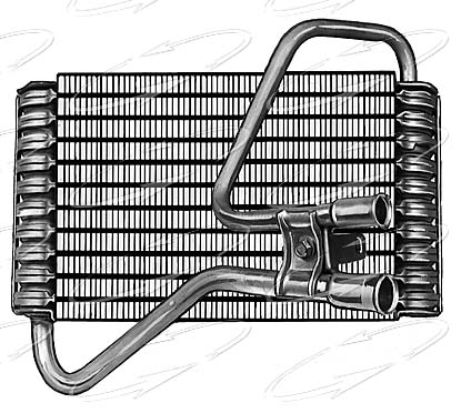 EVFO ESCORT 88-90 W/O PF =