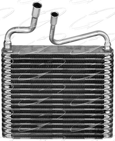 EVFO EXPEDITION 03-06 PF