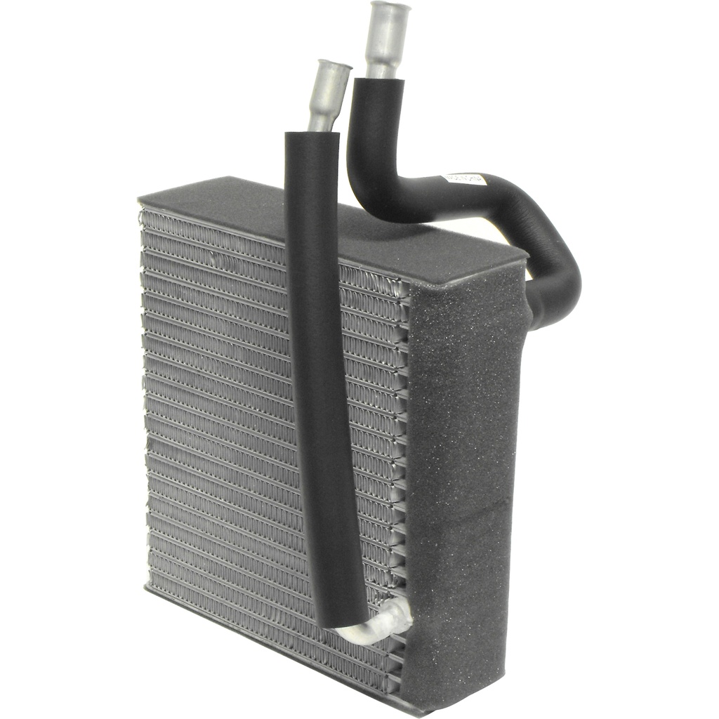 EVCR DGE PUP 02-06= EV-939601PFC