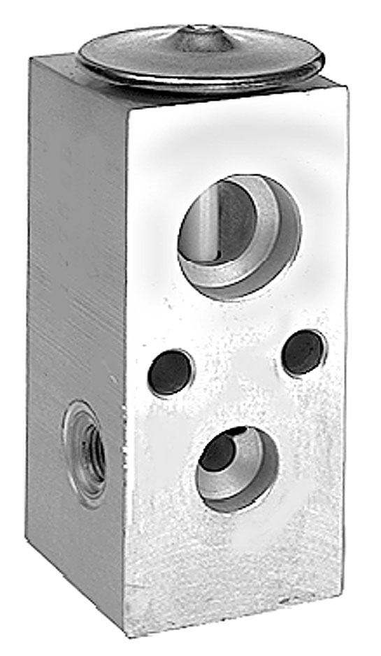EXCR CARAVAN 93-95 C/SENSOR