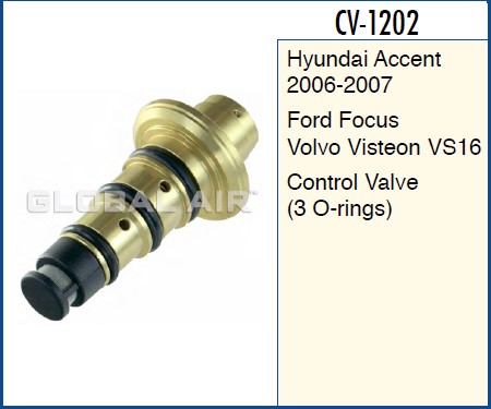 EXHY POA ACCENT 06-09 VS16 =EX-9736C