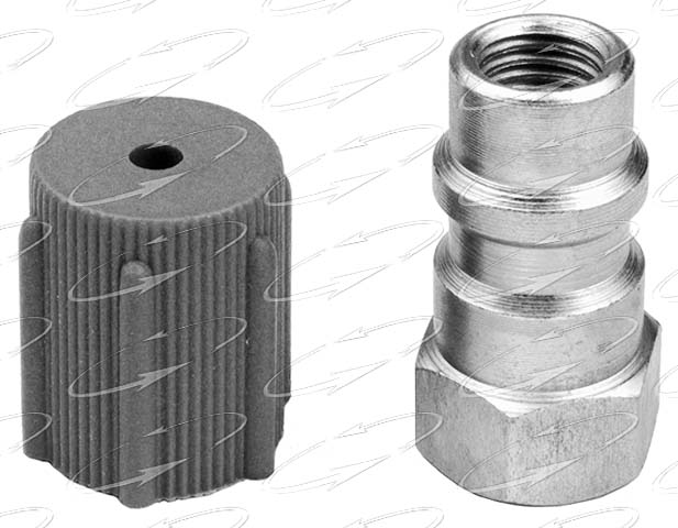 FT123 AD R12/R134 LOW S W/CAP 
