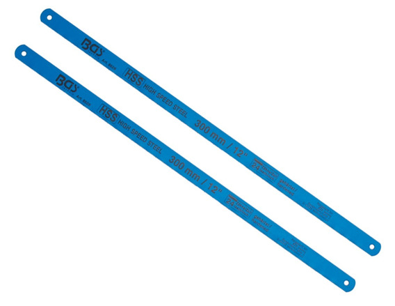 HE OJAS DE SEGUETAS AZULES