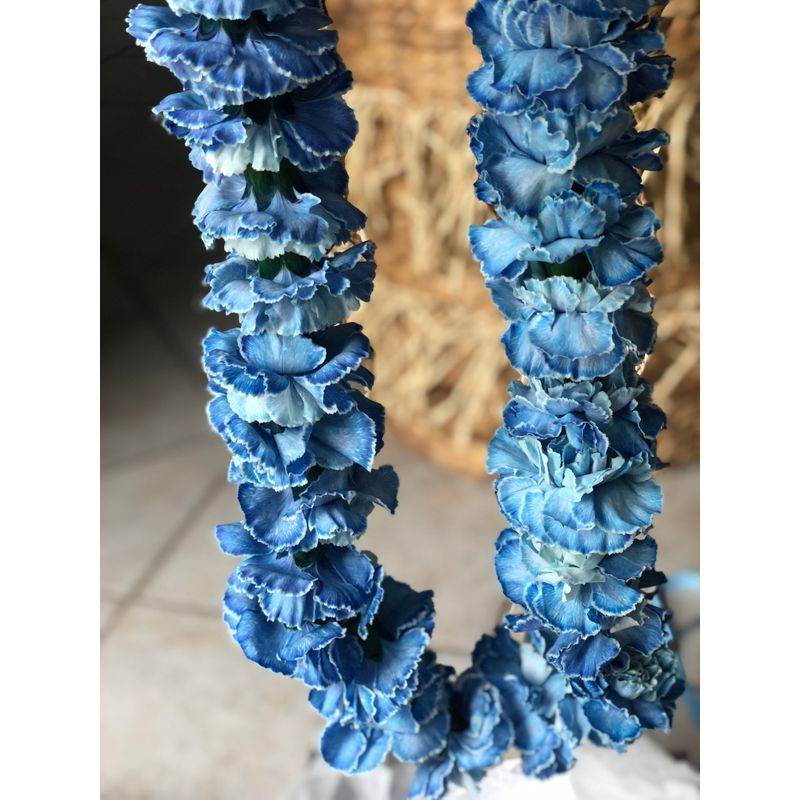 MI HAWAIIAN LEIS BEACH BREZZ