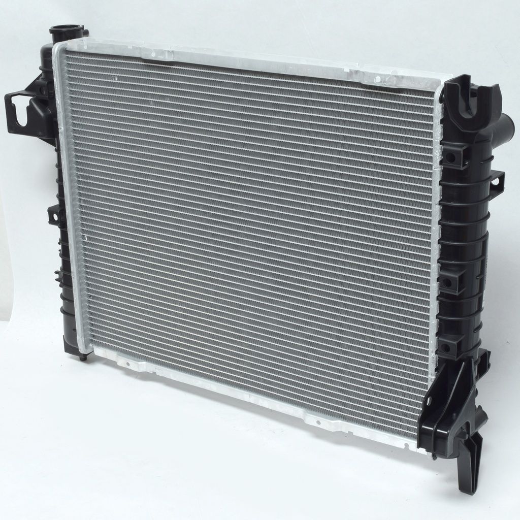 RDCR PUP RAM 02-04 5.9
