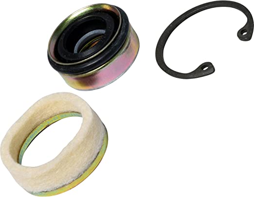 SEUN SD709 SANDEN LIP SEAL W/M