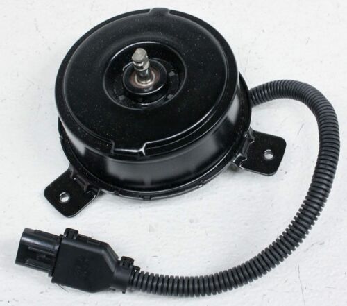 FNKI SORENTO 03-06 MOTOR SOLO