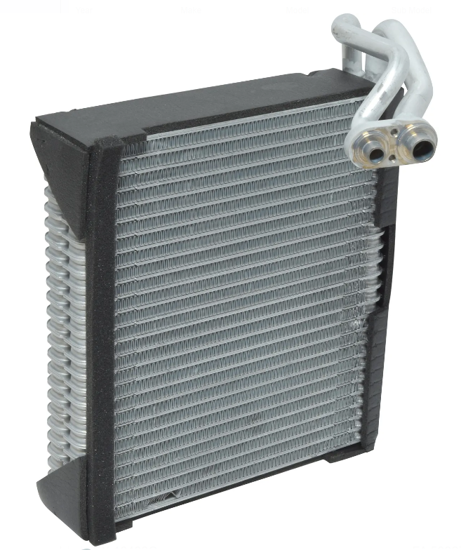 EVNI ROGUE SPORT 17-21=97378