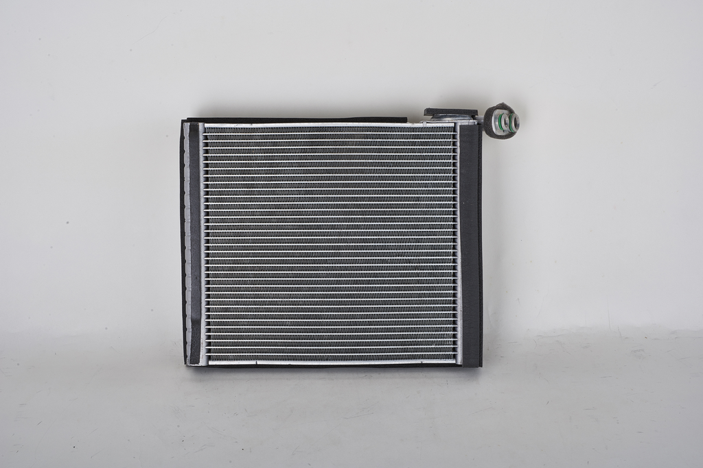 EVTO RAV4 06-17= EV-939769PFC