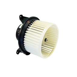 [BW-700177] BWFO 500 05-07 =75899
