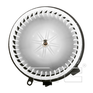 [BW-700253] BWNI ROGUE 08-11 =BM-9377C