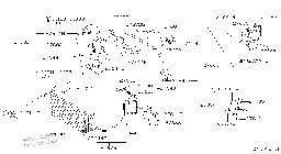 [CN-38253] CNNI SENTRA 85-86 REMP.       