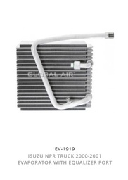 [EV-27-01919] EVIZ NPR 94-06 W/EQ