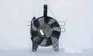 [FN-610010] FNMA PROTEGE 90-94 AUX W/HSG= 