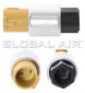 [SW-PS-1223GA] SWLI T CAR 03-04 LINCOLN =